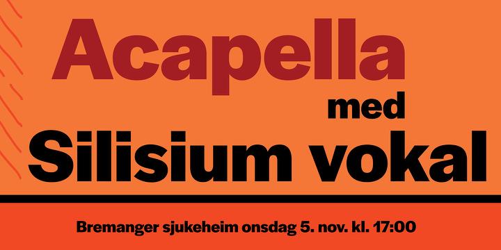 Bilde/illustrasjon for Acapella med Silisium vokal Acapella med Silisium vokal
