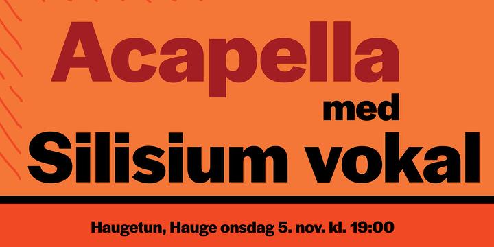 Bilde/illustrasjon for Acapella med Silisium vokal Acapella med Silisium vokal